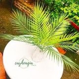 Cây Giả - Cây Dừa Nước Nhựa 50 - 80 Cm