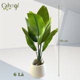 Bộ Chuối Xẻ Quạt Giả Nhiều Kích Thước