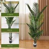 Bộ Cây Giả - Cây Dừa Nước Giả Nhiều Kích Thước