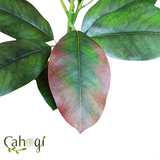 Cây Giả - Ngọn Cây Đa – Cây Si Giả 80 Cm 2 Nhánh