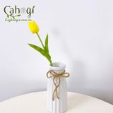 Bình Sứ Chai Sữa 17X 6