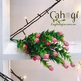 Hoa Giả - Chùm Hoa Nhài Nụ