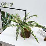 Cây Giả - Dương Xỉ Lá Me Gân Đỏ