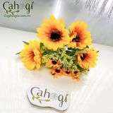 Bụi Hướng Dương Phấn Vàng 33Cm