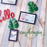 Lá Cây - Lá Rùa Trang Trí Decol