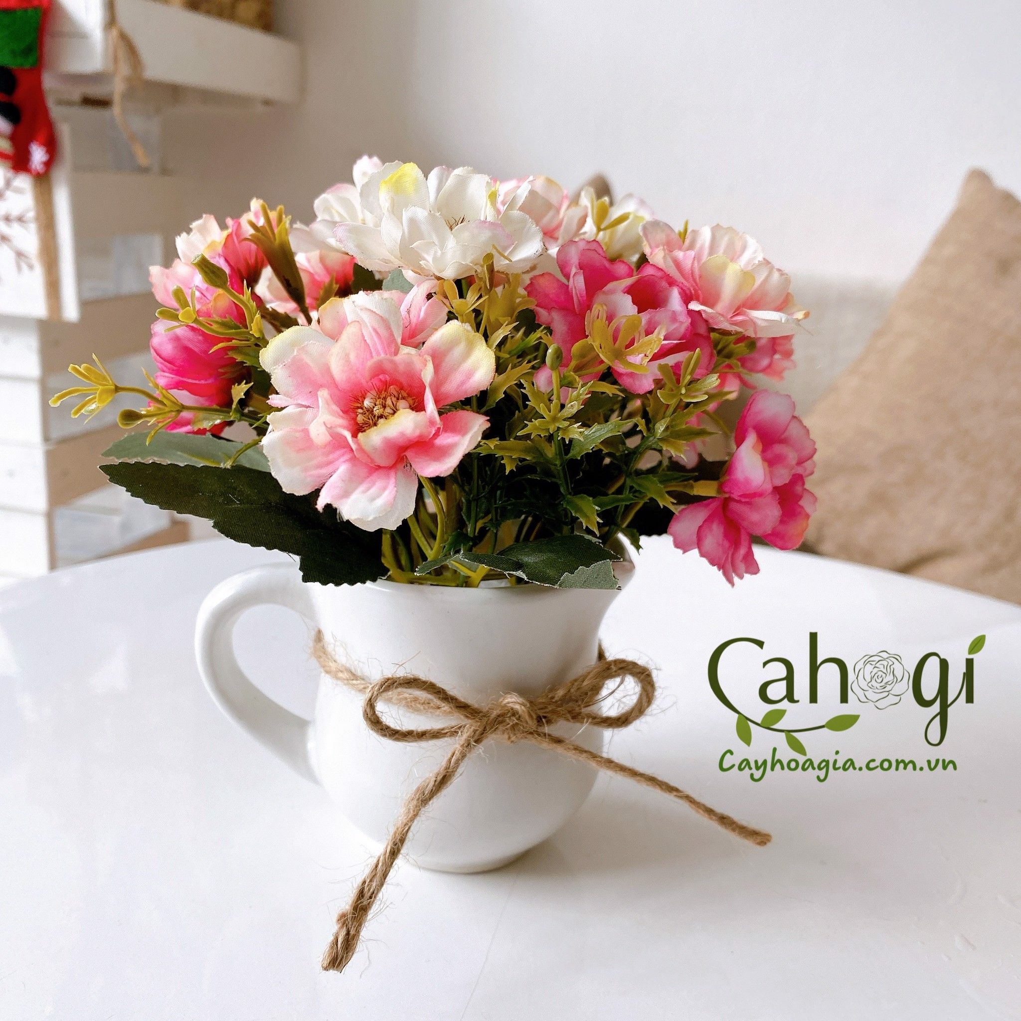 Chau_su_mini_quai_rot