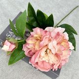 Hoa Giả Hoa Mẫu Đơn Bông Lớn 1 Nụ Nhiều Màu 68 Cm