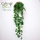 Chùm Cây Dây Leo Giả Trang Trí Các Mẫu Dài 96 cm : Vạn Niên Thanh, Lá Nho, Rau Má  Nhật, Trầu Bà, Thường Xuân