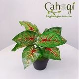 Cây Giả - Cây Môn Đốm Đỏ 9 Lá 30 CM - Đỏ