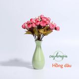 Chùm Hồng Bi 30 Cm- 18 Bông