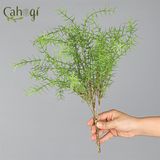 Cành Hương Thảo Cỡ Lớn 6 Nhánh 48 CM