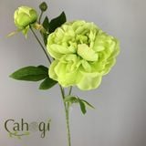 Hoa Giả Hoa Mẫu Đơn Bông Lớn 2 Nụ Nhiều Màu 70 Cm