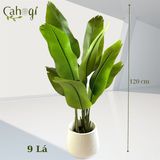 Bộ Chuối Xẻ Quạt Giả Nhiều Kích Thước