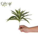 Cây Giả - Ngọn Trúc Bách Hợp 30 Cm 3 Màu