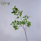 Cành Bằng Lăng 3 Nhánh Quả Nhỏ 110 Cm