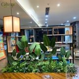 Thi Công Trồng Bồn Cây Giả Tại Nhà Hàng