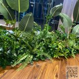 Thi Công Trồng Bồn Cây Giả Tại Nhà Hàng
