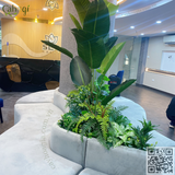 Thi Công Trần Dây Leo Giả, Hộc Cây Giả Văn Phòng Tòa Nhà Sen Group – Giải Pháp Xanh Đẳng Cấp