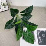 Cây Giả Cây Môn Xanh Gân Trắng 12 Lá -63 Cm