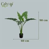 Cây Giả Cây Khoai Nước Cỡ Lớn Nhiều Kích Thước