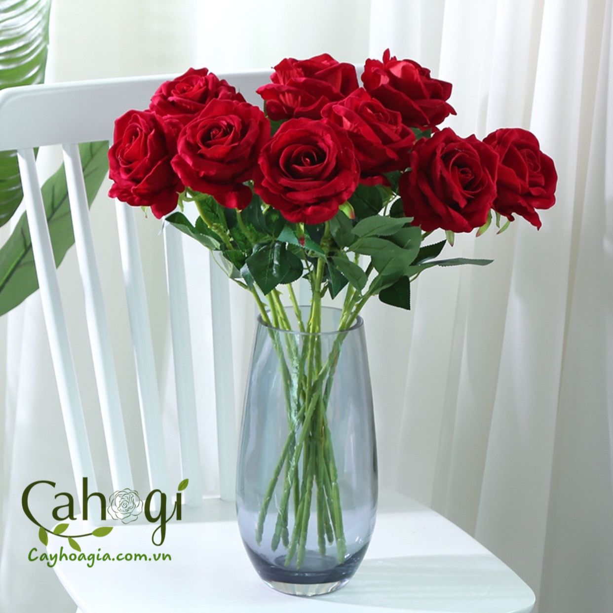 Hoa_hong_nhung_gia_cao_cap