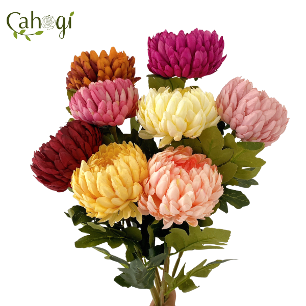 canh-cuc-dai-doa-75cm-3