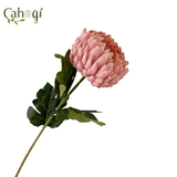 Hoa Giả - Cúc Đại Đóa Bông Lớn 75 Cm