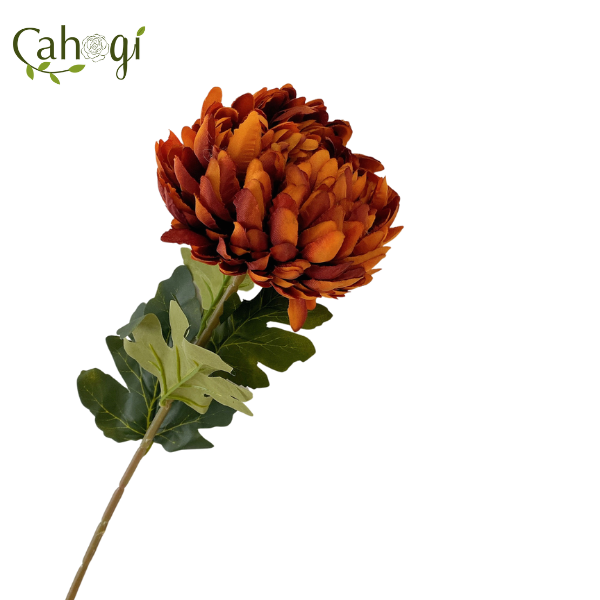 canh-cuc-dai-doa-75cm-nau cam