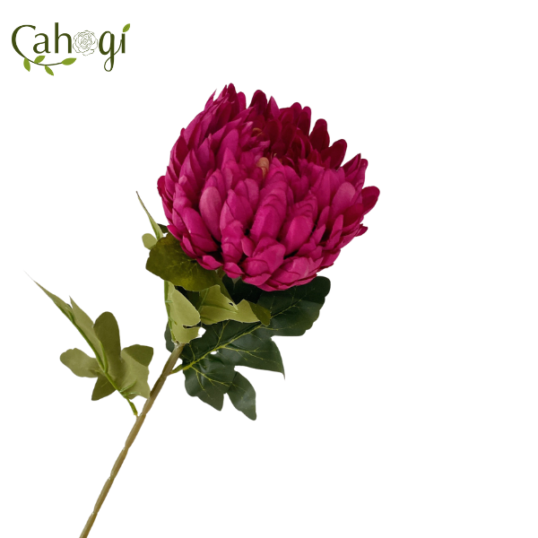 Hoa Giả - Cúc Đại Đóa Bông Lớn 75 Cm – CaHoGi