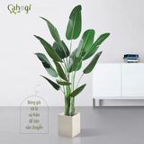 Cây Trang Trí - Bộ Cây Chuối Xẻ Quạt Giả Cao Cấp Cỡ Lớn