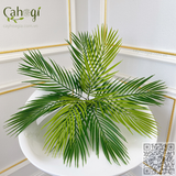 Cây Giả - Cây Dừa Nước Nhựa 50 - 80 Cm