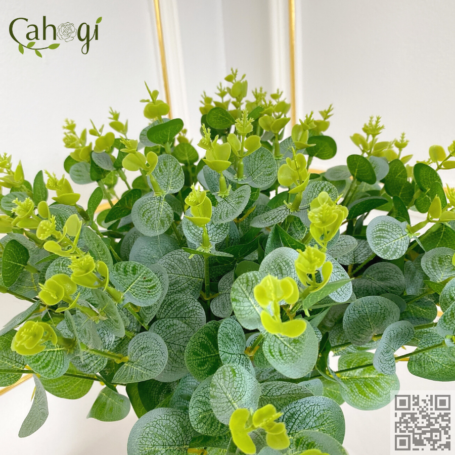 Chùm Cành Táo Lớn 40 Cm