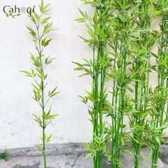 Bộ 3 Cây Vạn Tuế 1M6