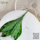 Cây Giả - Cây Hoàng Hậu