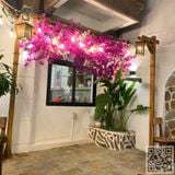 Thi Công Cây Hoa Giấy Giả Trang Trí Quán Cafe