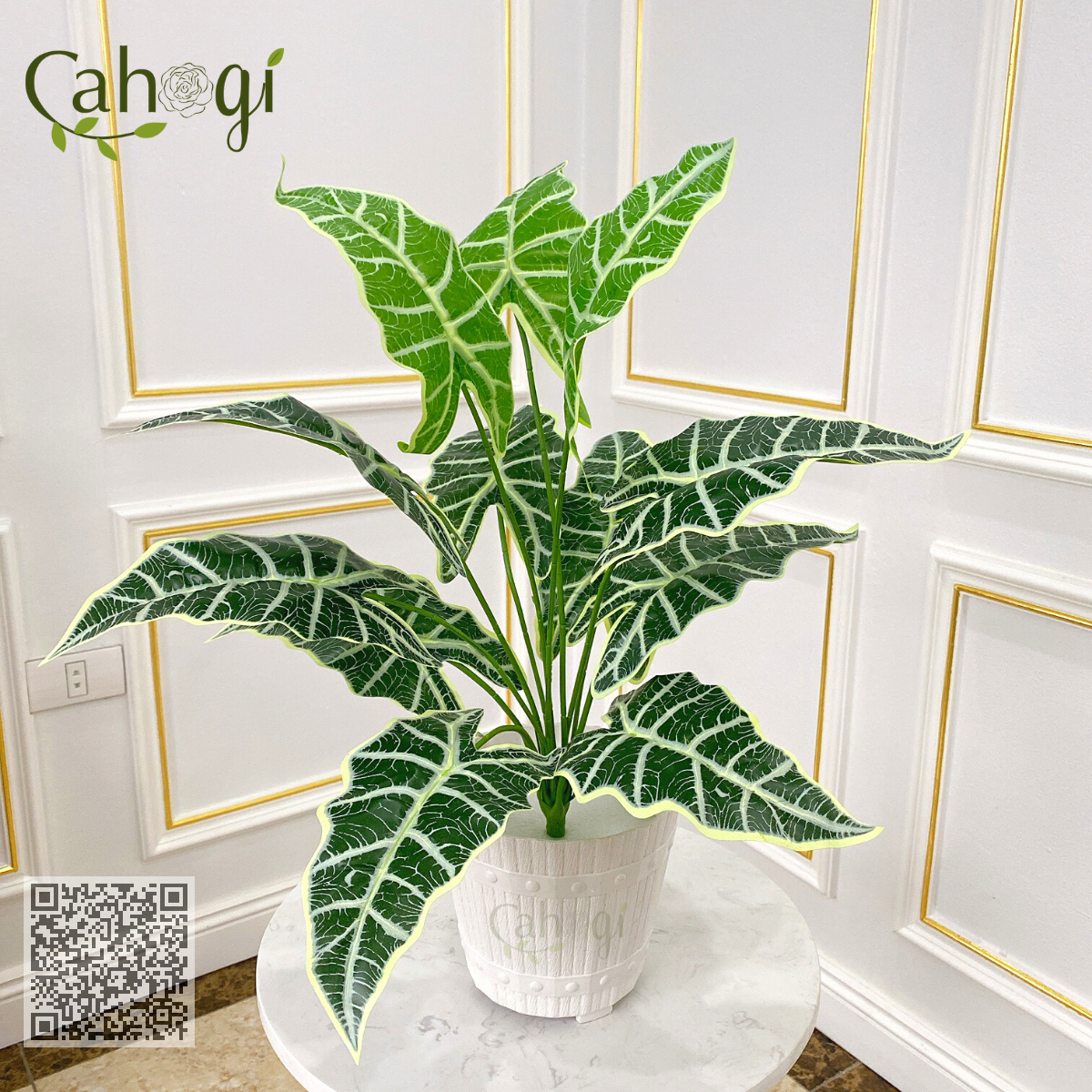 Cây Giả - Cây Môn Quan Âm Sọc Vằn 60 cm