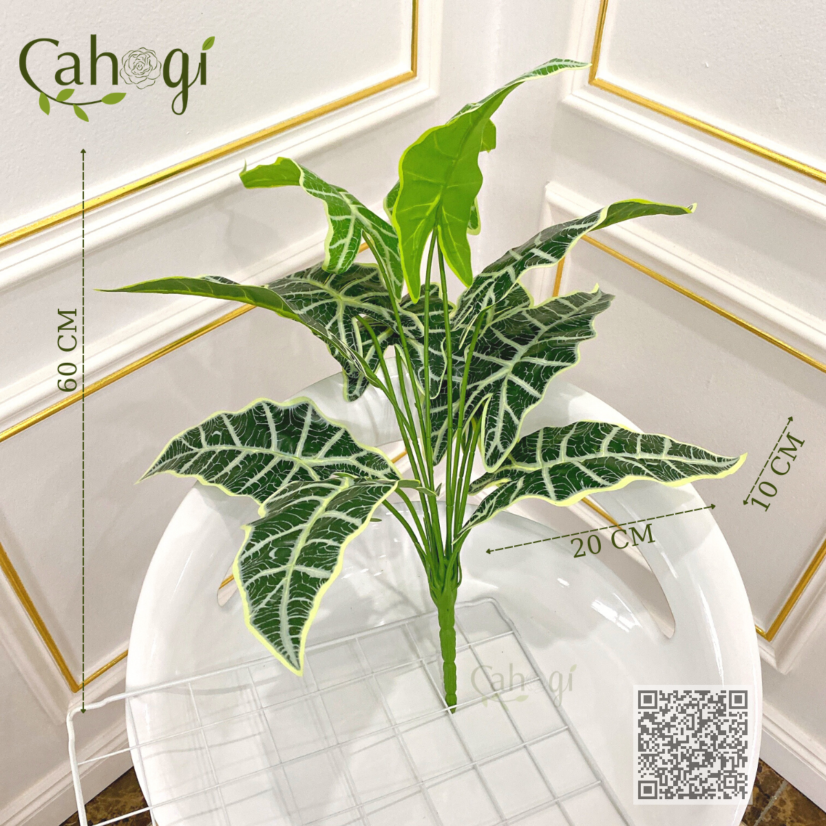 Cây Giả - Cây Môn Quan Âm Sọc Vằn 60 cm