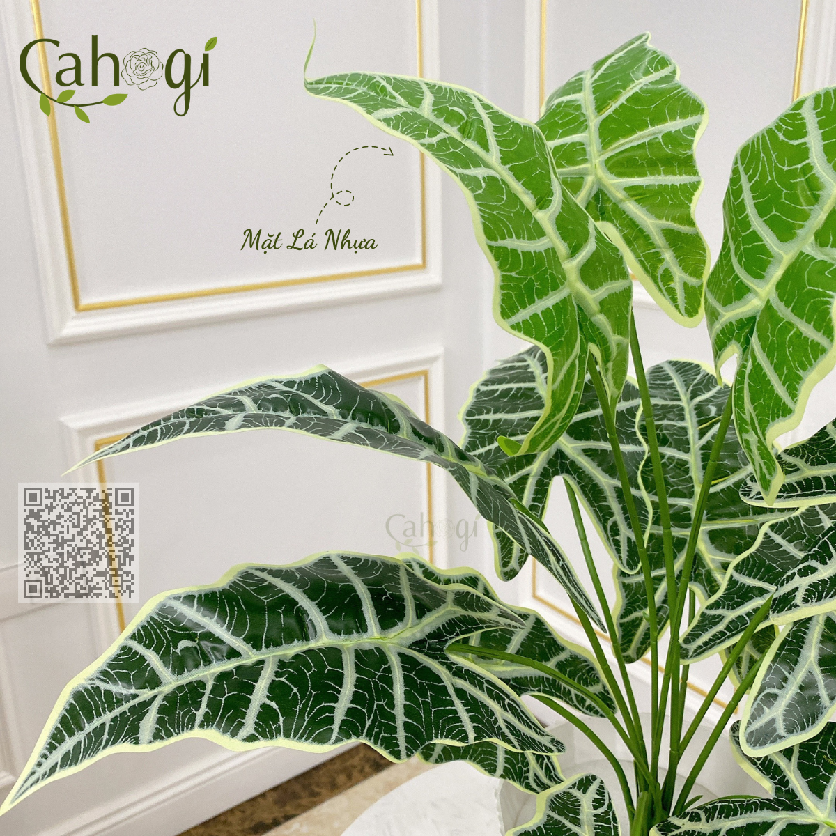 Cây Giả - Cây Môn Quan Âm Sọc Vằn 60 cm