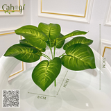 Cây Giả Cây Ngân Hậu 30cm