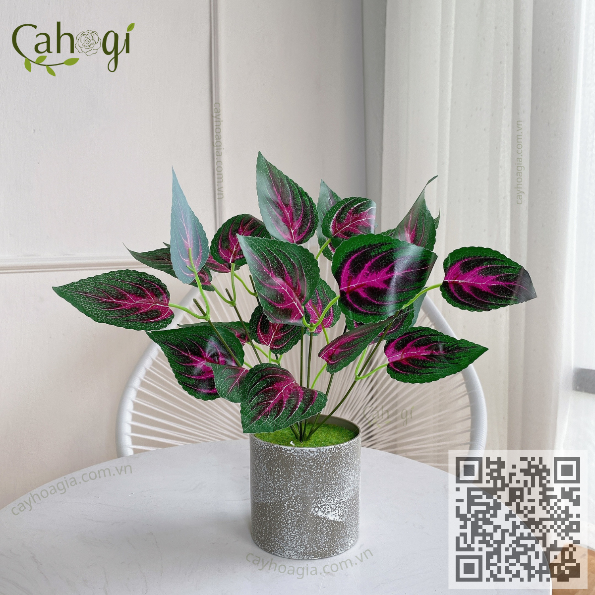 Cây Tía Tô 2 Màu 35 Cm