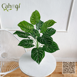 Cây Giả - Cây Khoai Gân Lá Trắng 62 Cm - 12 Lá - 16 Cm