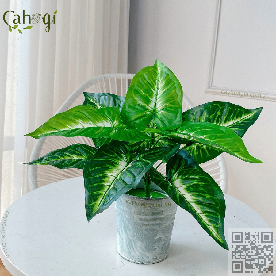 Cây Môn Xanh Lòng Trắng 9 Lá 32 Cm