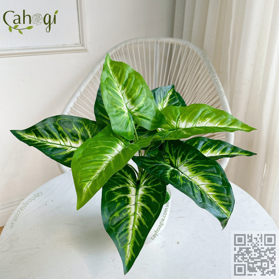 Cây Môn Xanh Lòng Trắng 9 Lá 32 Cm