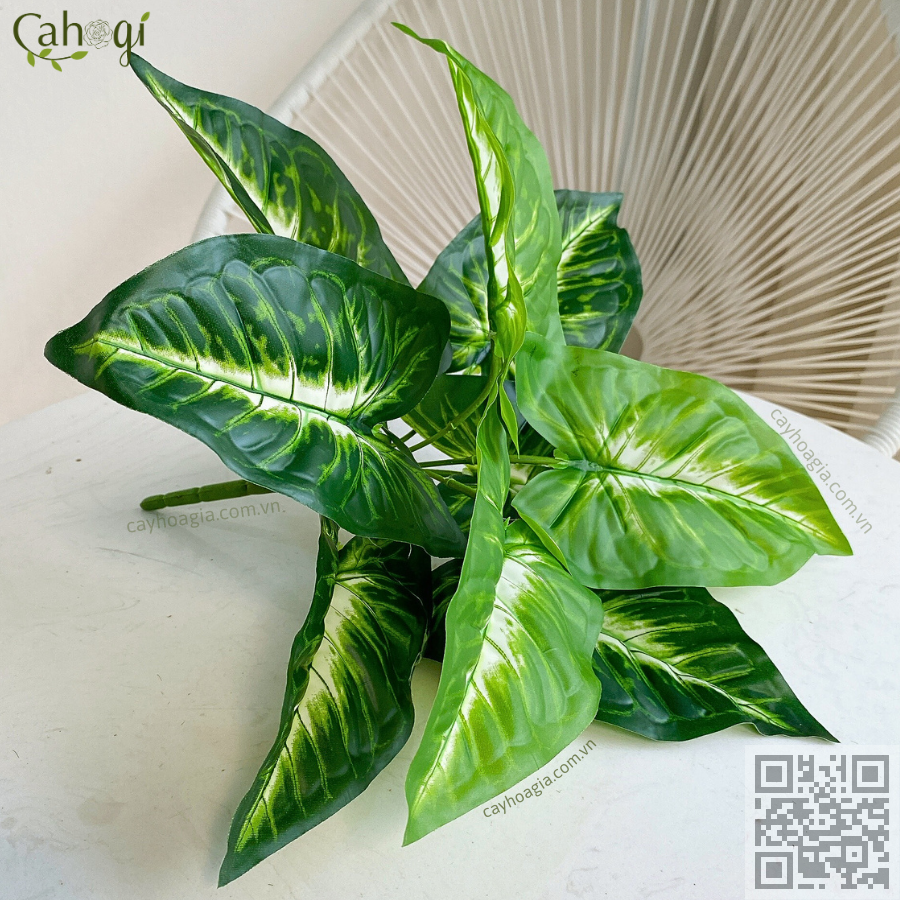 Cây Môn Xanh Lòng Trắng 9 Lá 32 Cm