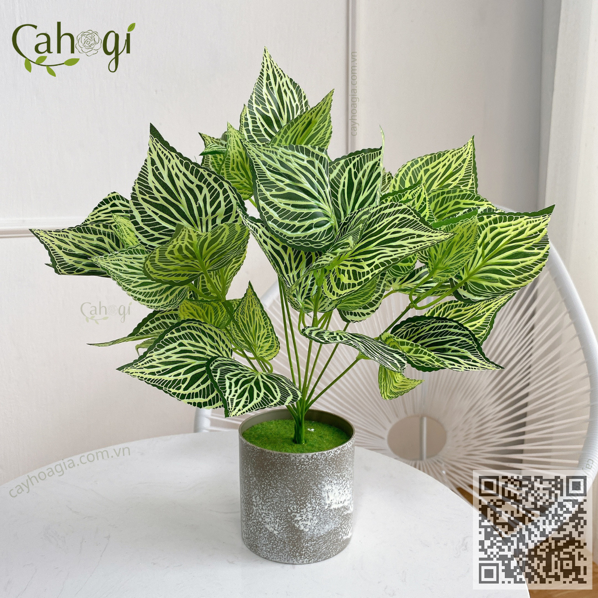 Cây Nhựa Lá Sọc Vằn Trang Trí 35 Cm