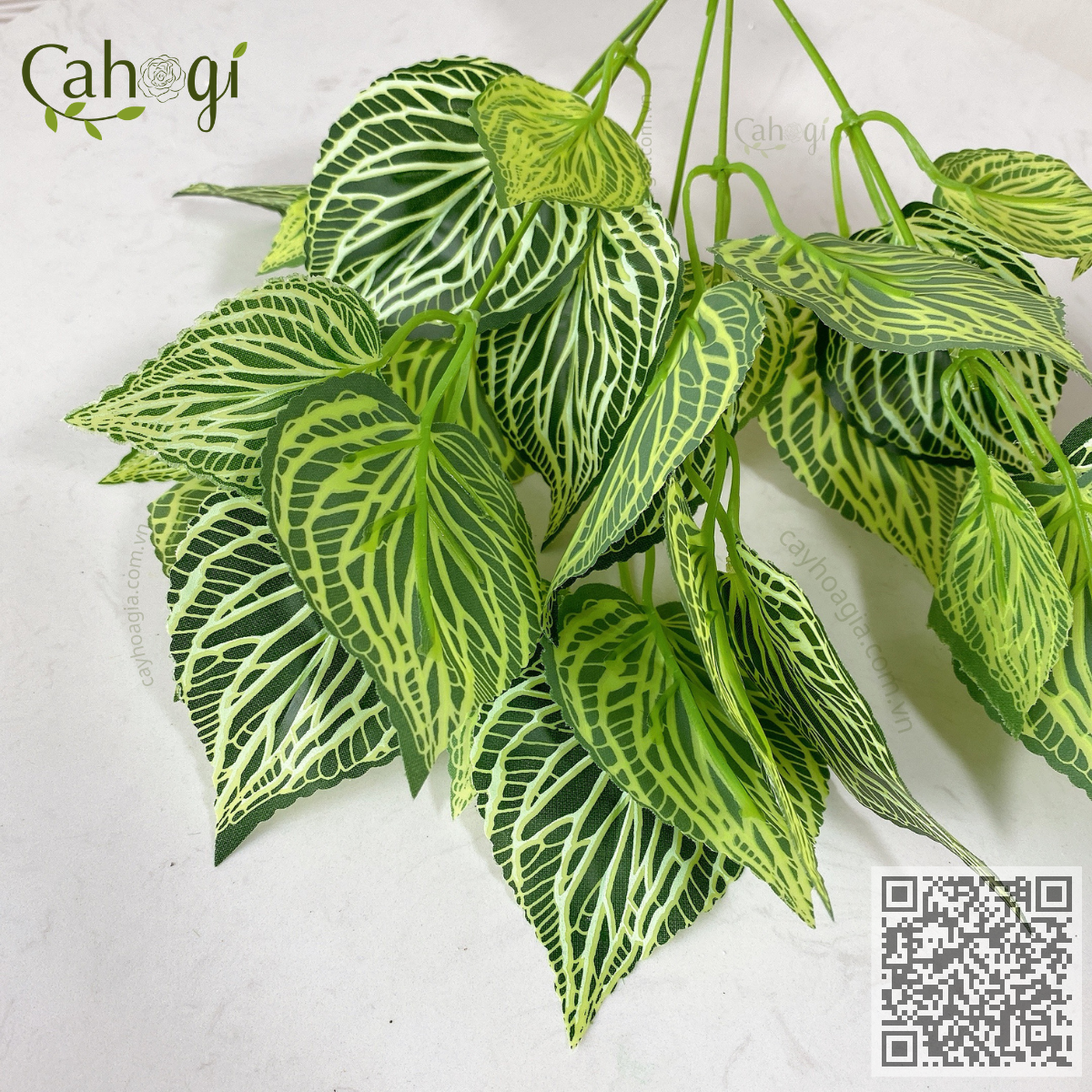 Cây Nhựa Lá Sọc Vằn Trang Trí 35 Cm