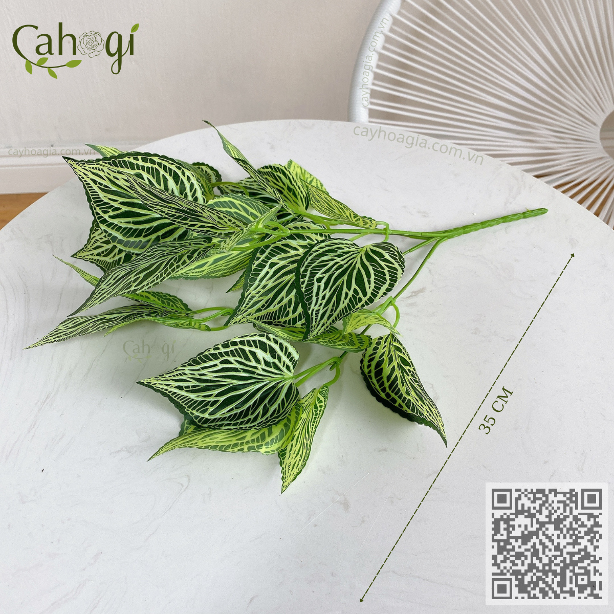 Cây Nhựa Lá Sọc Vằn Trang Trí 35 Cm