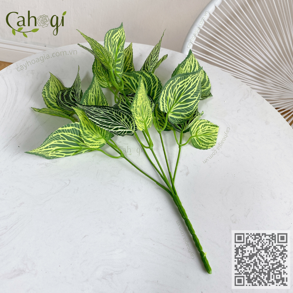 Cây Nhựa Lá Sọc Vằn Trang Trí 35 Cm