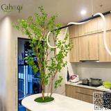 Thi Công Cây Thạch Nam Giả Trang Trí Căn Hộ Vinhome