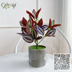 Cây Giả - Cây Môn Xanh Lòng Trắng 9 Lá 32 Cm